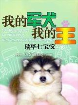 我的军犬我的王小说
