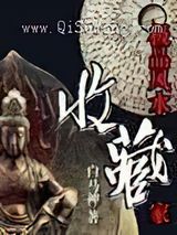 极品风水收藏家小说