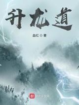 升龙道小说