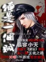 俺是一个贼小说