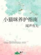 小猫咪养护指南小说