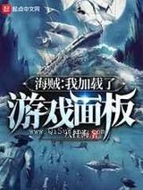 海贼:我加载了游戏面板小说