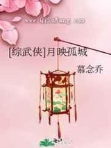 [综武侠]月映孤城小说