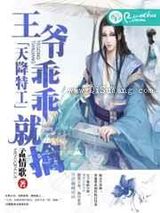 天降特工:王爷,乖乖就擒小说