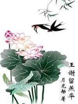 王谢留燕华小说
