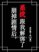 崩了剧情后,系统跟我解绑了小说