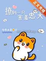 撩到一只害羞忠犬小说