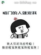 暗门的人就宠我小说