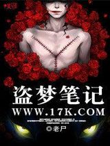 盗梦笔记小说
