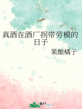 真酒在酒厂拐带劳模的日子小说