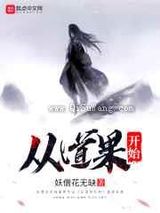 从道果开始小说