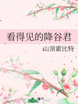 看得见的降谷君小说