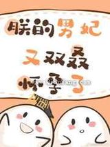 朕的男妃又双叒怀孕了!小说