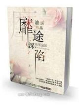 靡途深陷小说