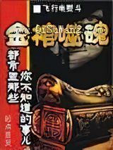 金棺噬魂小说