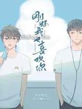 刚好我也喜欢你小说