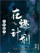 小机器人在逃计划小说