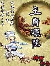 王府深院小说