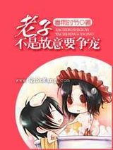 老子不是故意要争宠小说