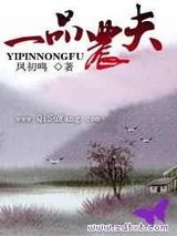一品农夫小说