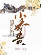 清穿之名门小娇贵小说