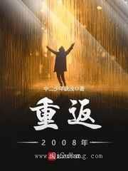重返2008年小说