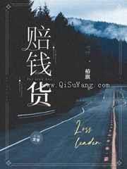 赔钱货小说