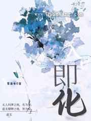 入口即化小说
