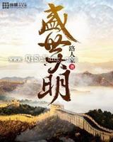 盛世大明小说
