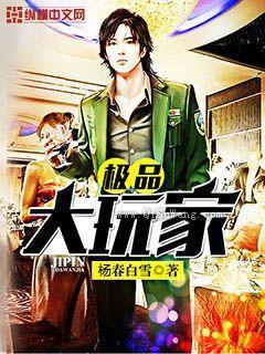 极品大玩家小说