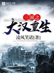 三国之大汉重生小说