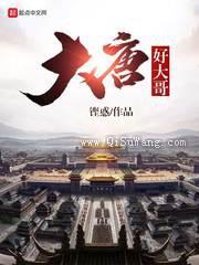 大唐好大哥小说