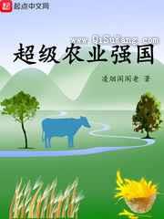 超级农业强国小说