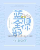 蓝全部归你小说