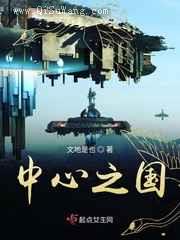 中心之国小说