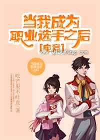 当我成为职业选手之后小说