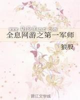 全息网游之第一军师小说