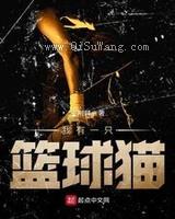 我有一只篮球猫小说