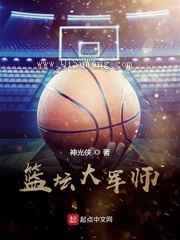 篮坛大军师小说
