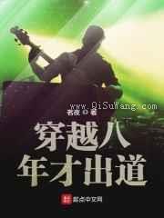 穿越八年才出道小说