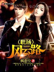 职场风云路小说