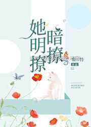 她明撩暗撩小说
