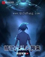 精灵之从头再来小说