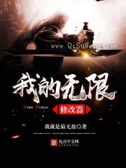 我的无限修改器小说