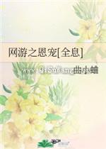 网游之恩宠小说