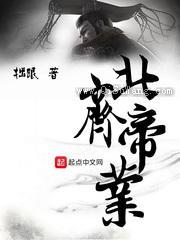 北齐帝业小说