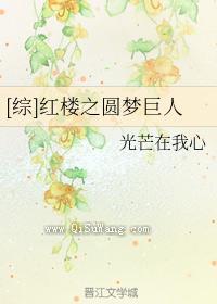 红楼之圆梦巨人小说