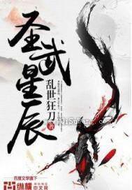 圣武星辰小说