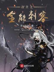 战灵之全能刺客小说