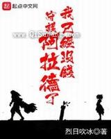 我已经没钱守护阿拉德了小说